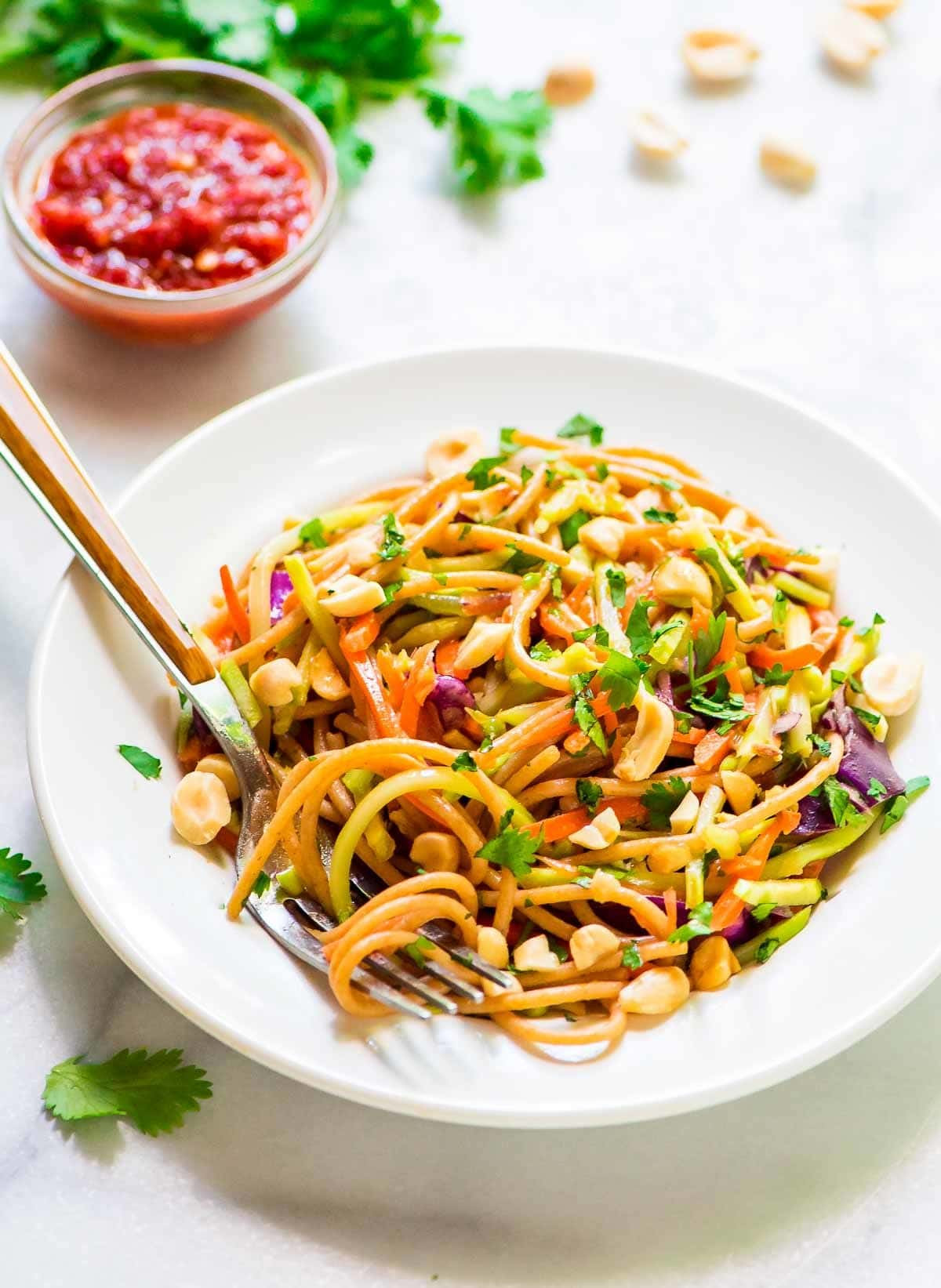 Healthy Asian Recipes
 Asian Noodle Salad with Creamy Peanut Dressing