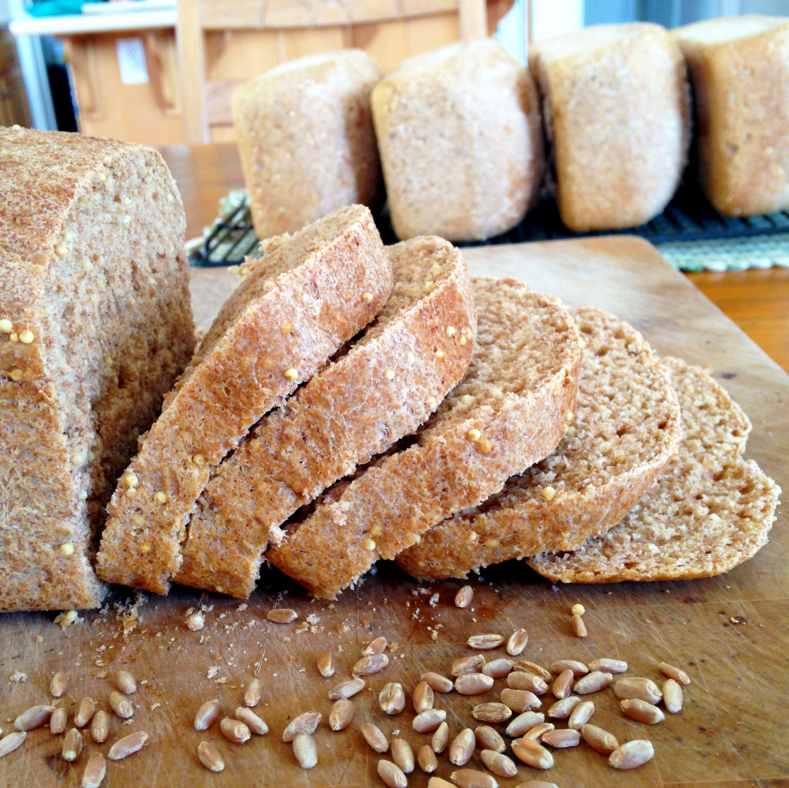 Healthy Homemade Bread
 Live Right Be Healthy Homemade Whole Wheat Bread