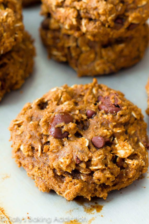 Healthy Oatmeal Raisin Cookies
 Healthy Oatmeal Raisinet Cookies Sallys Baking Addiction