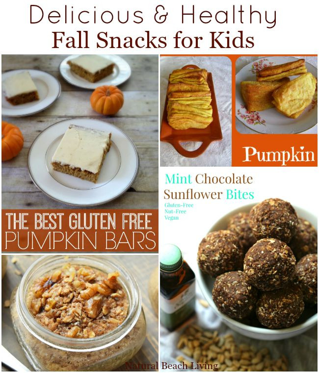 Healthy Snacks For Adults
 Healthy Fall Snacks for Kids Natural Beach Living