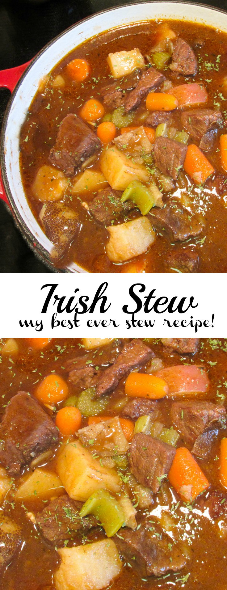 Healthy Stew Recipes
 healthy irish stew