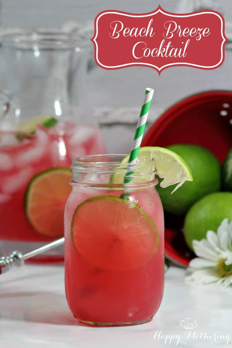 Healthy Vodka Drinks
 Summer Cocktail Recipes Beach Breeze Happy Mothering
