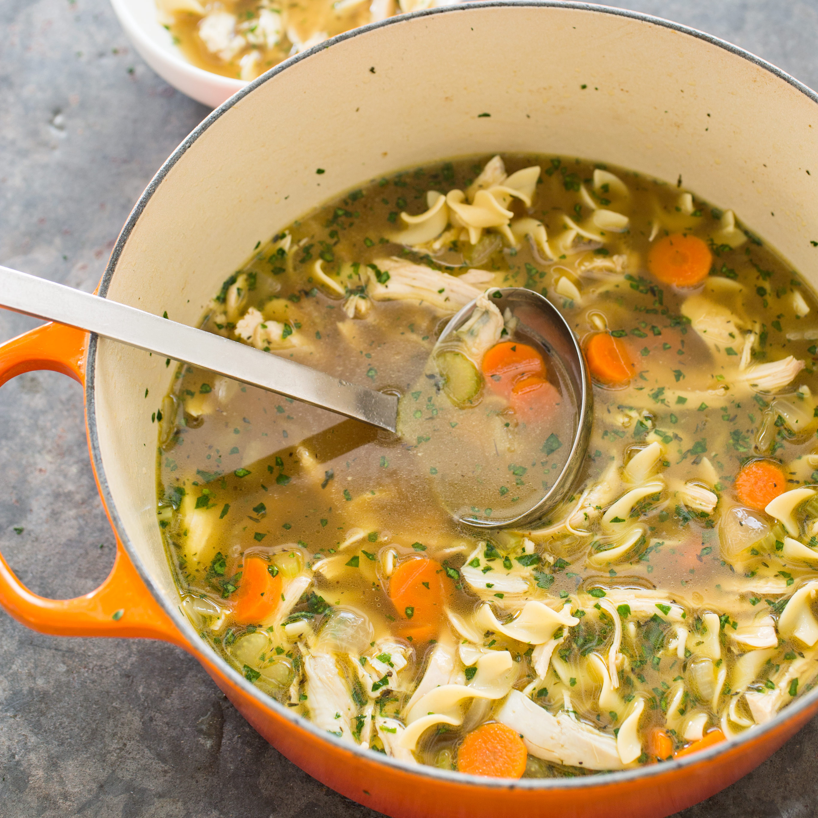 Hearty Chicken Noodle Soup
 Hearty Chicken Noodle Soup