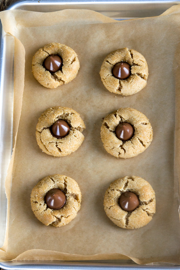 Hershey Kiss Cookies Without Peanut Butter
 Gluten Free Peanut Butter Blossom Cookies