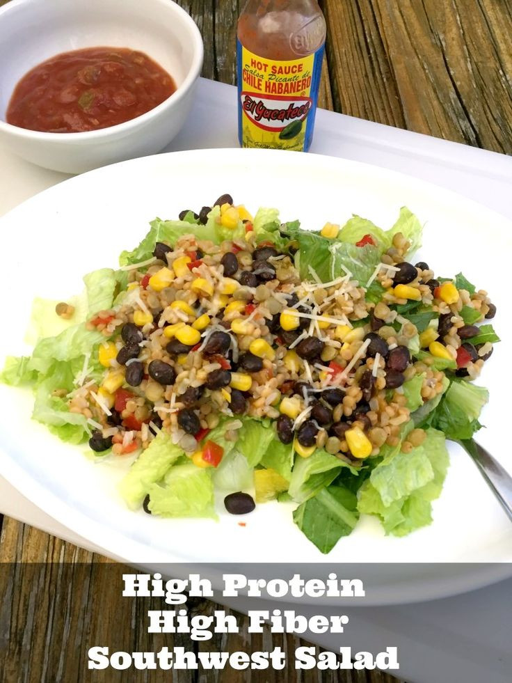 High Fiber Recipes For Weight Loss
 Best 25 Lean protein meals ideas on Pinterest