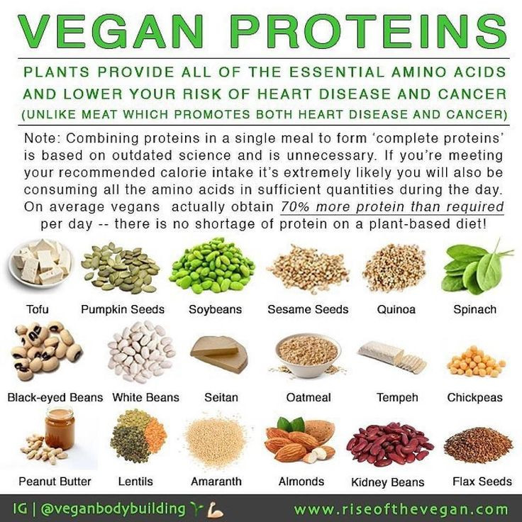 High Protein Vegetarian Foods
 Vegans often hear "but where do you your protein