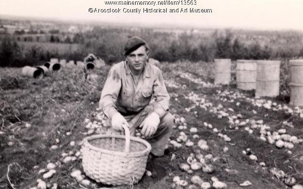 History Of The Potato
 History of the potato images