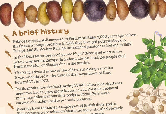 History Of The Potato
 All About Potatoes resources for 16 19 students