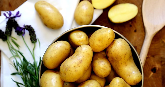 History Of The Potato
 History of the Potato