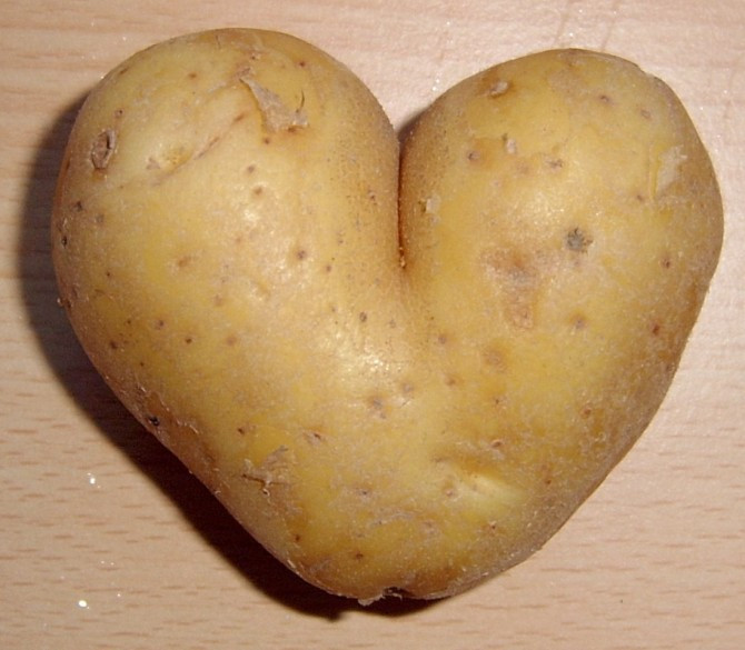 History Of The Potato
 Nothing Is Boring 1 The Spud – Sick Chirpse