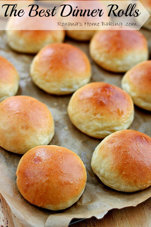 Homemade Dinner Rolls Recipe
 The best homemade dinner rolls recipe from scratch