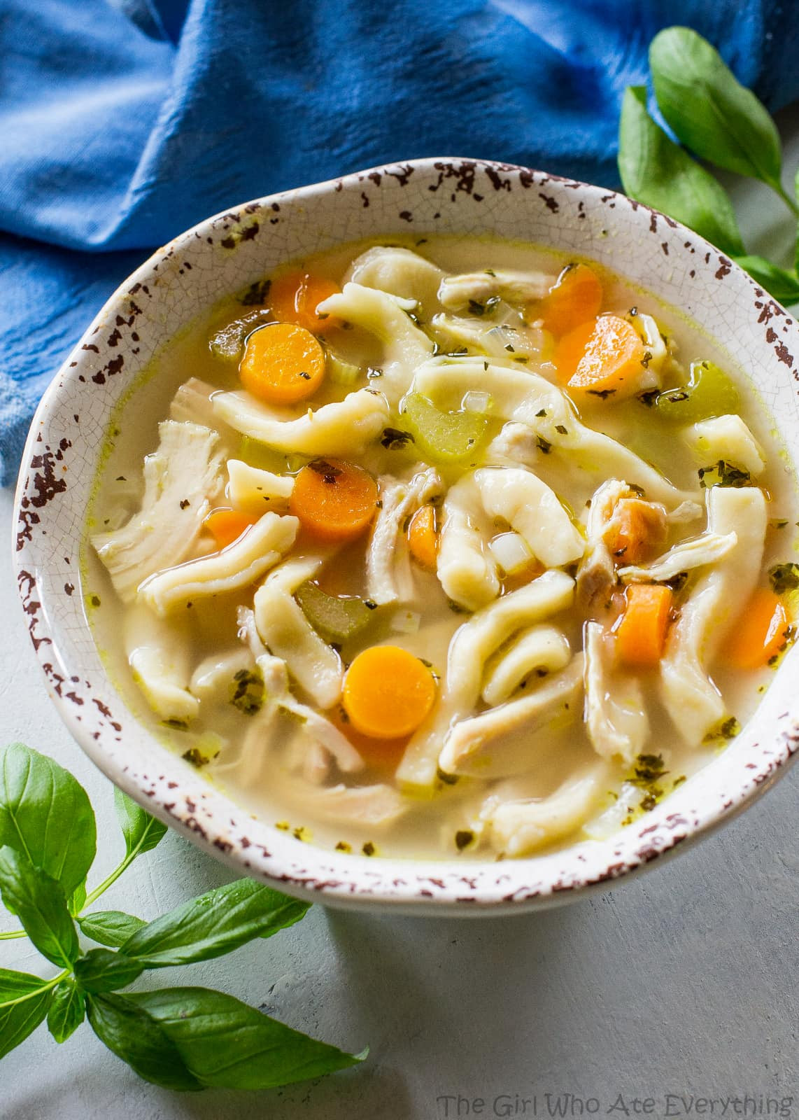 Homemade Noodles For Chicken Noodle Soup
 Homemade Chicken Noodle Soup The Girl Who Ate Everything