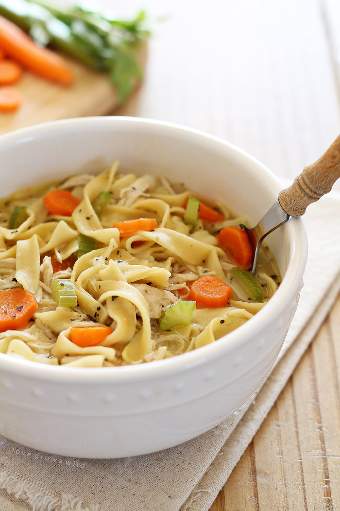 Homemade Noodles For Soup
 Quick and Easy Chicken Noodle Soup Love Grows Wild