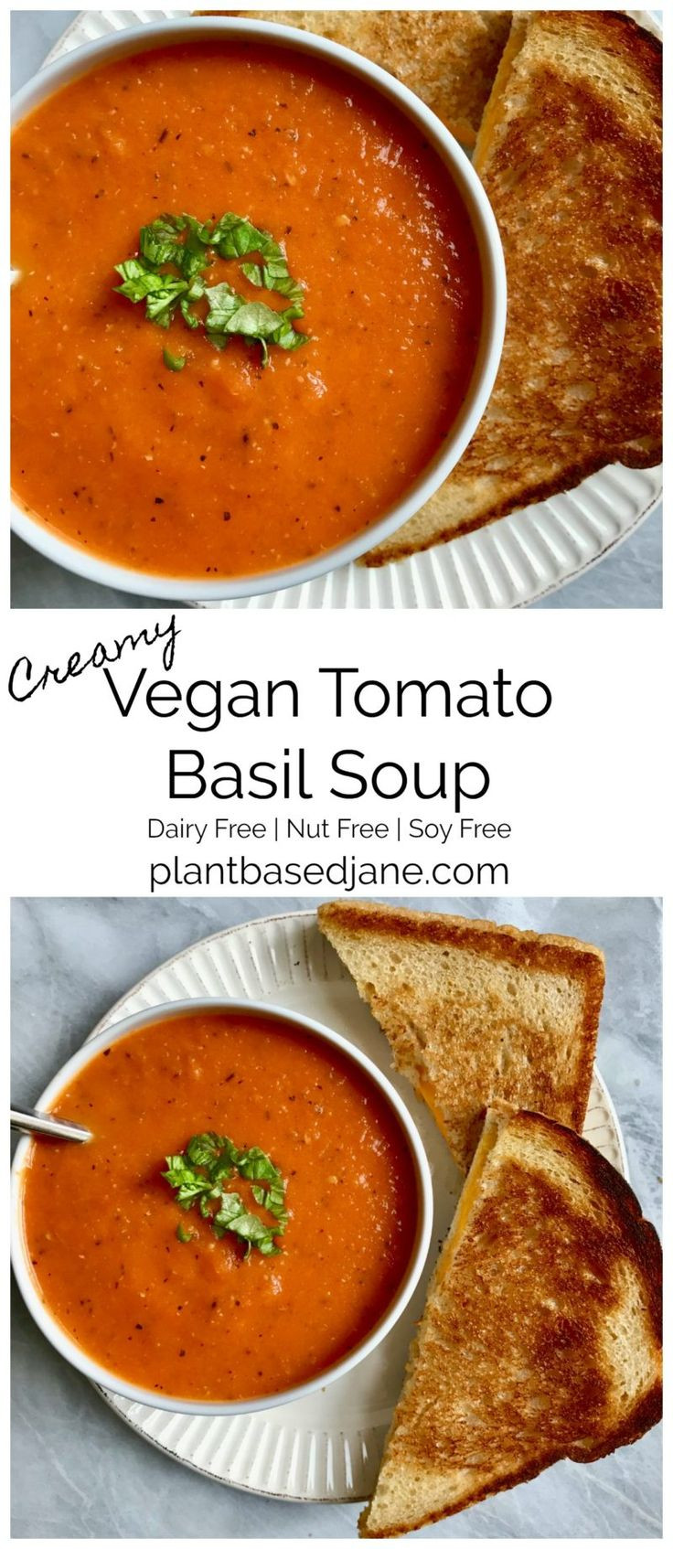 Homemade Tomato Basil Soup
 Best 25 Homemade tomato soups ideas on Pinterest