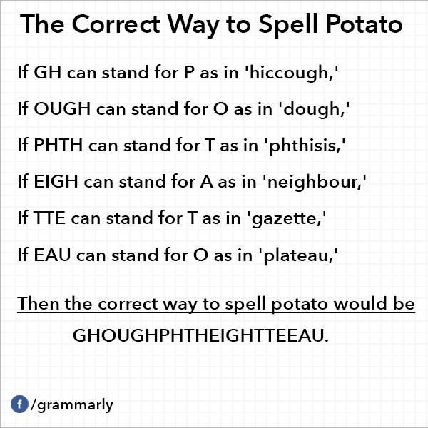 How Do You Spell Potato
 The Correct Way to Spell Potato