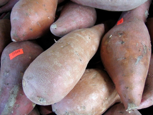 How Long To Cook A Sweet Potato
 Sweet Potatoes How Long To Cook Sweet Potatoes