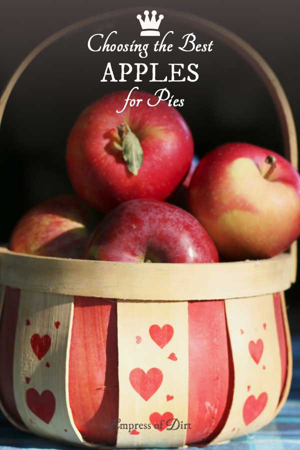 How Many Apples For Apple Pie
 Best Apples for Pies Empress of Dirt