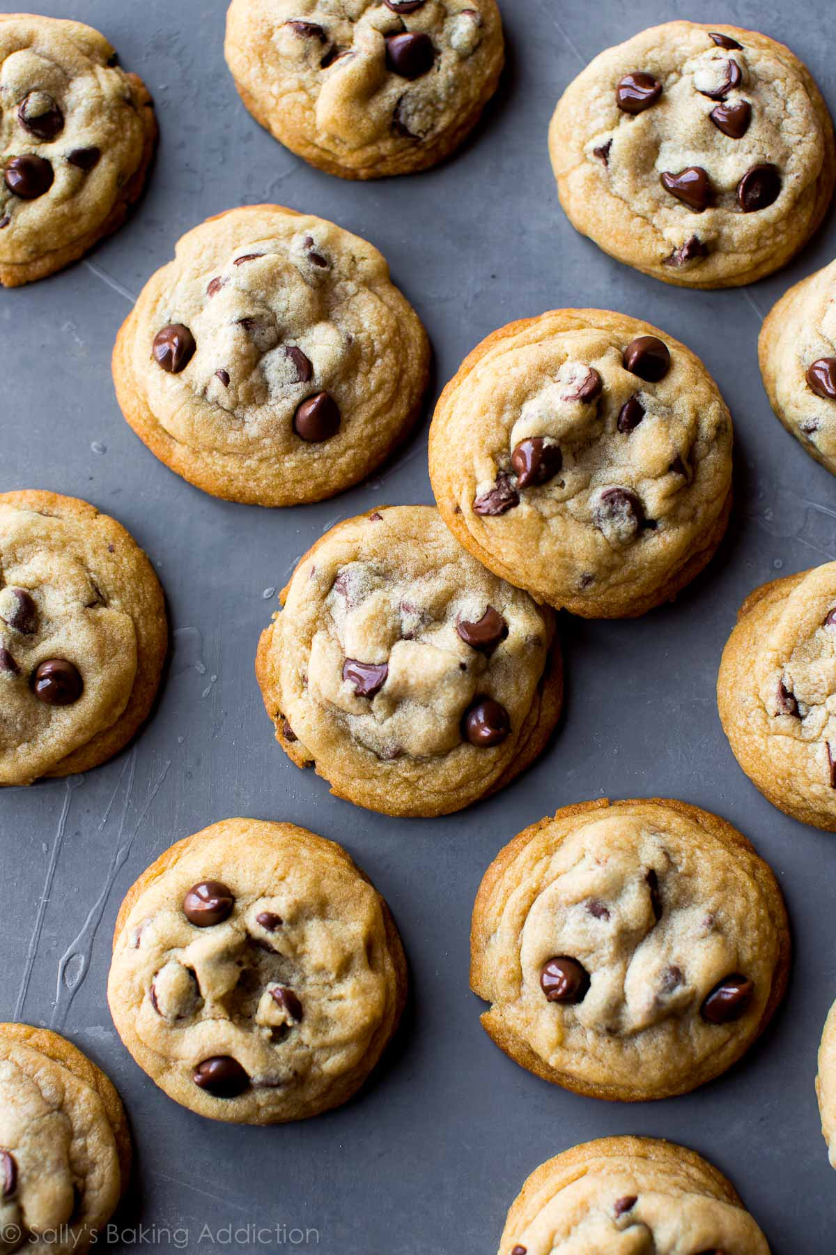 How To Bake Chocolate Chip Cookies
 The Best Soft Chocolate Chip Cookies Sallys Baking Addiction