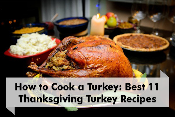 How To Cook A Thanksgiving Turkey
 How to Cook a Turkey 11 Best Thanksgiving Turkey Recipes