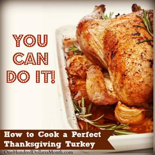 How To Cook A Thanksgiving Turkey
 How to Cook a Perfect Thanksgiving Turkey e Hundred