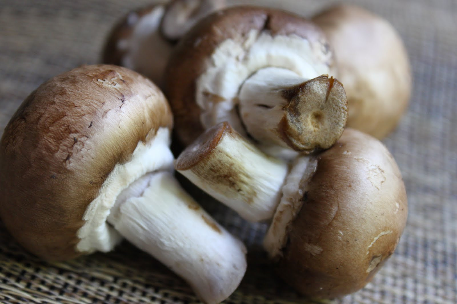 How To Cook Baby Bella Mushrooms
 mushroom