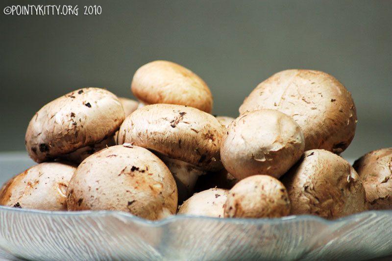 How To Cook Baby Bella Mushrooms
 Ve arian and Vegan recipes