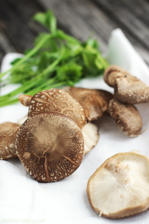 How To Cook Shiitake Mushrooms
 Shiitake Mushroom & Chicken Stir Fry Worth Cooking