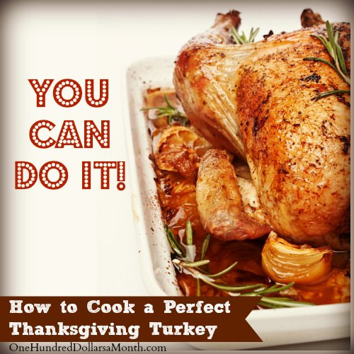 How To Cook Thanksgiving Turkey
 How to Cook a Perfect Thanksgiving Turkey e Hundred