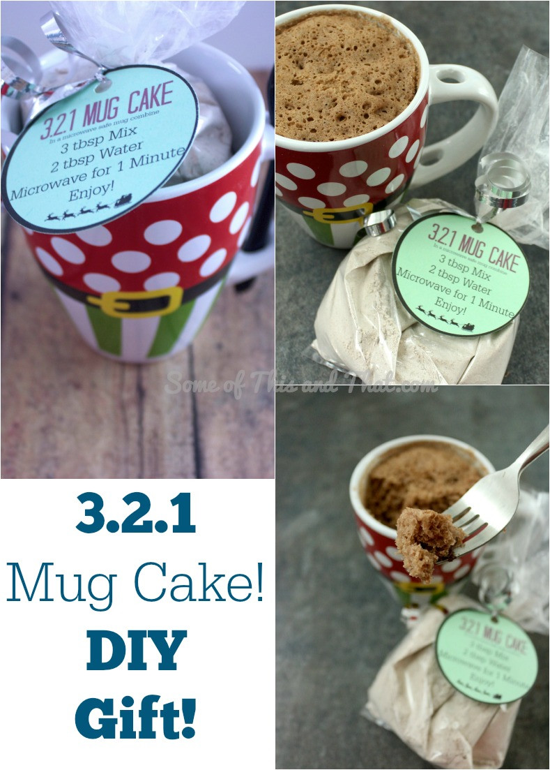 How To Make A Mug Cake
 321 Mug Cake Easy and Fun DIY Gift Some of This and That