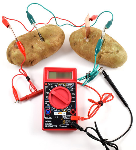 How To Make A Potato Battery
 Potato Battery How to Turn Produce into Veggie Power