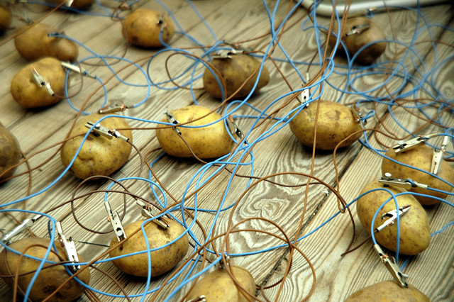 How To Make A Potato Battery
 A Potato Battery Can Light Up a Room For Over a Month
