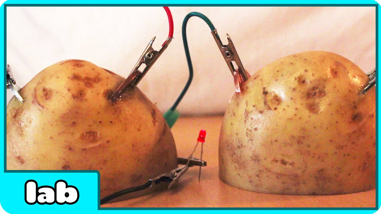 How To Make A Potato Battery
 Cool Science Experiment Potato Battery