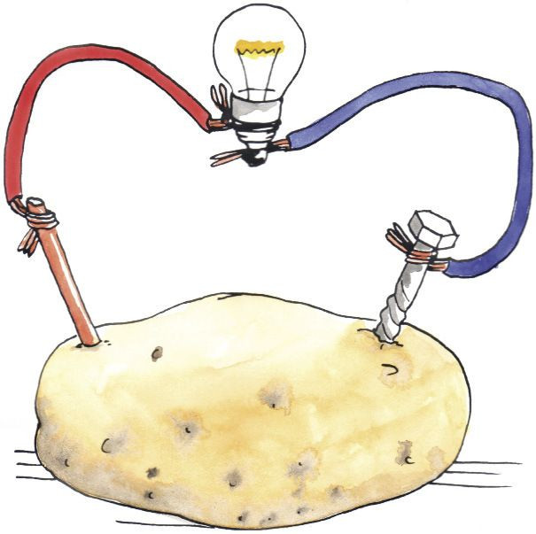 How To Make A Potato Battery
 how to make a potato powered light bulb Google Search