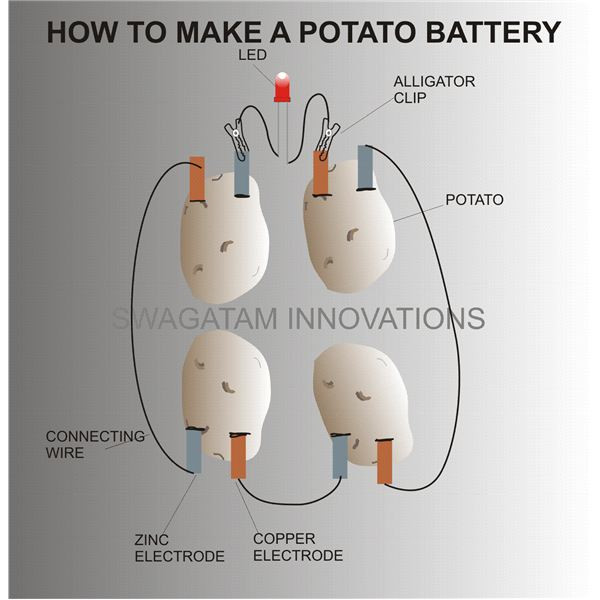 How To Make A Potato Battery
 Potato Battery – Do It And How