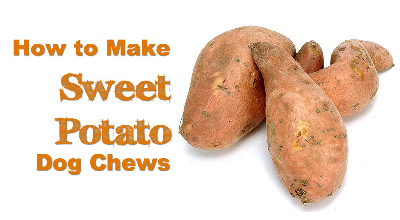 How To Make A Sweet Potato
 How to Make Sweet Potato Dog Chews