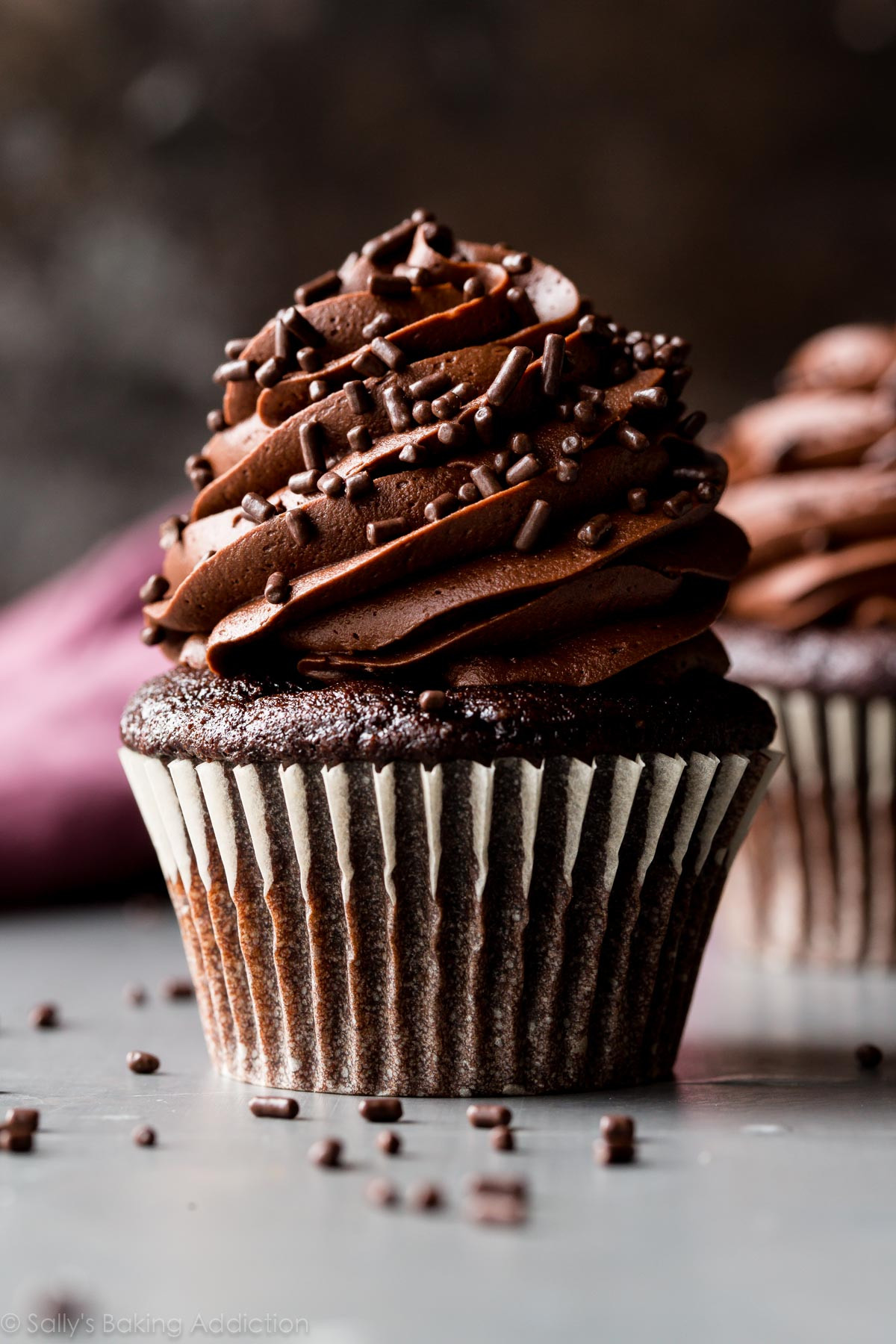 How To Make Chocolate Cupcakes Super Moist Chocolate Cupcakes Sallys Baking Addiction