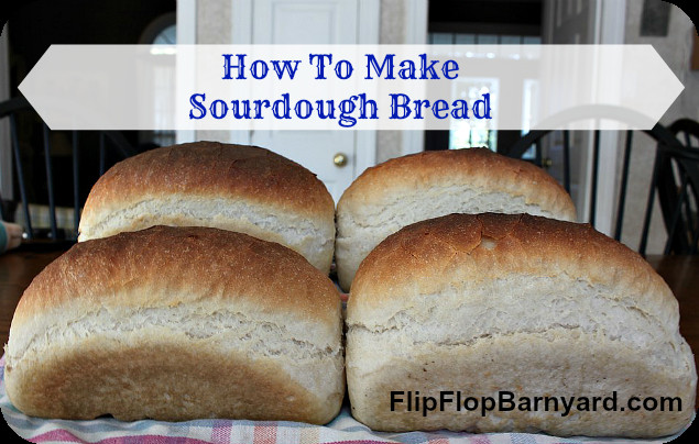 How To Make Sourdough Bread
 How to Make Sourdough Bread