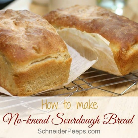 How To Make Sourdough Bread
 How to Make Sourdough Bread the easy way