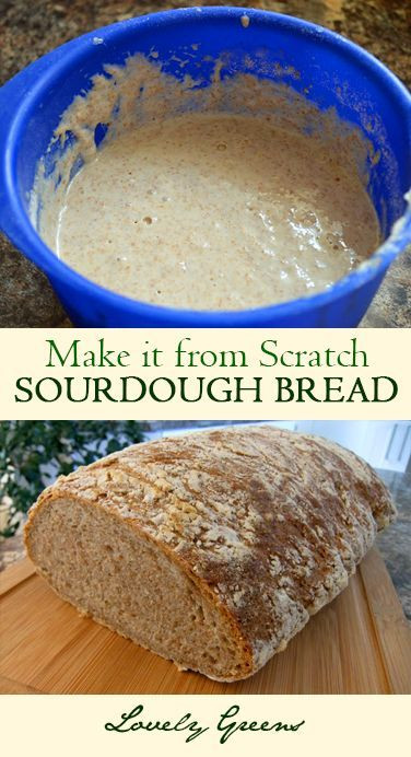 How To Make Sourdough Bread Starter
 How to Make Sourdough Starter