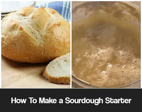 How To Make Sourdough Bread Starter
 How To Make a Sourdough Starter And Bread Mental Scoop