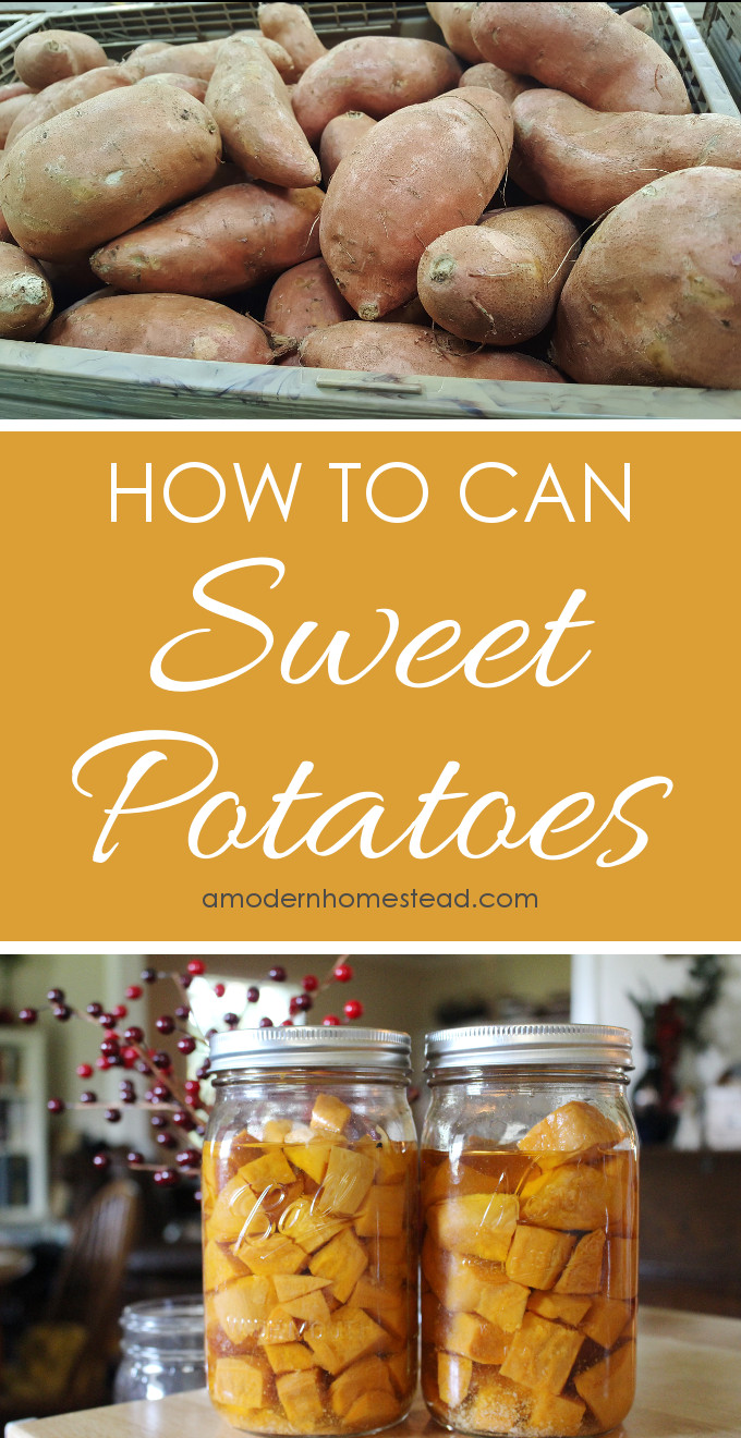 How To Make Sweet Potato
 How to Can Sweet Potatoes