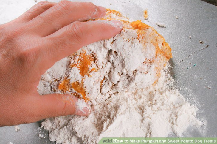 How To Make Sweet Potato
 How to Make Pumpkin and Sweet Potato Dog Treats 8 Steps