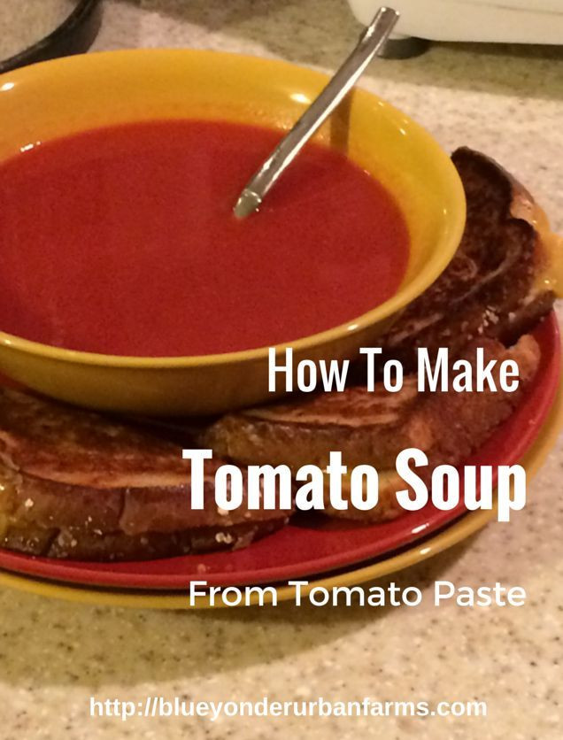 How To Make Tomato Sauce From Tomato Paste
 How To Make Tomato Soup From Tomato Paste