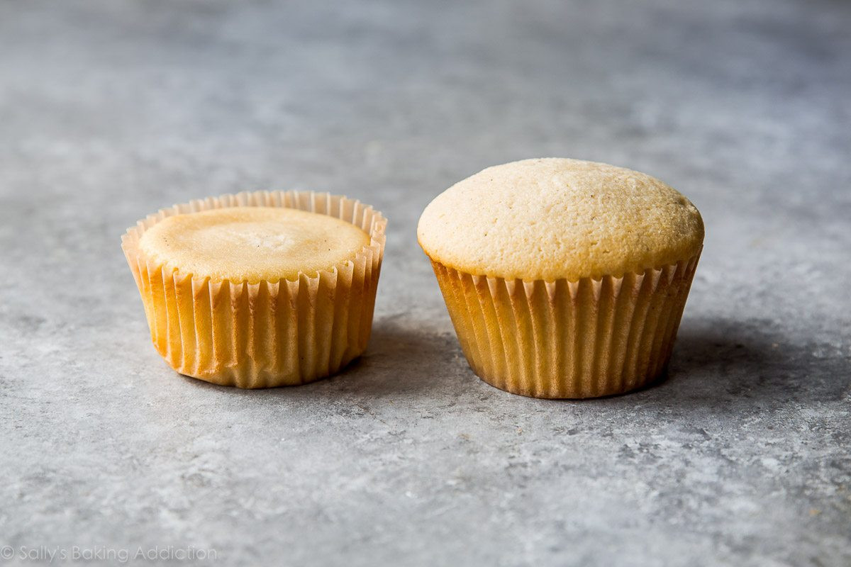How To Make Vanilla Cupcakes
 Simply Perfect Vanilla Cupcakes Sallys Baking Addiction