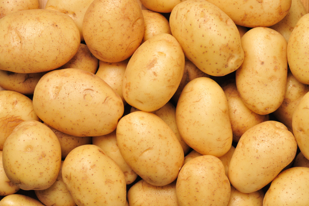 How To Spell Potato
 Spelling potato potatoe