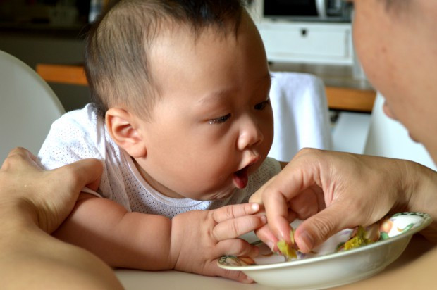 I'M Hungry What Should I Eat For Dinner
 Baby Led Weaning… NOT