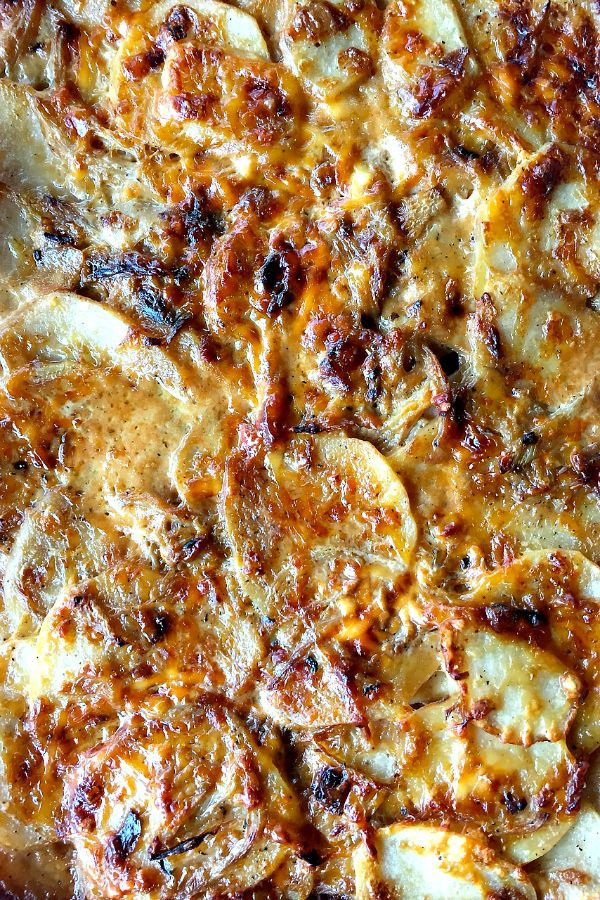 Ina Garten Scalloped Potatoes
 1000 ideas about Fennel Gratin on Pinterest