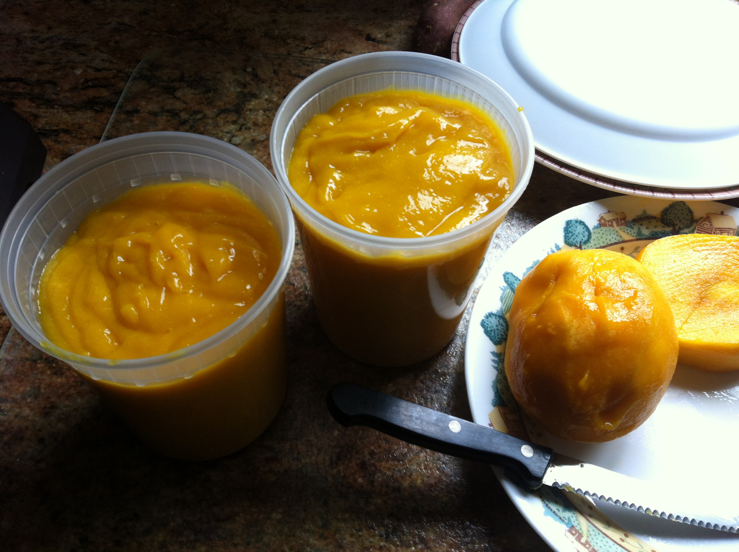 Indian Mango Dessert
 An Indian Delicacy Fresh Mango Puree Pudding