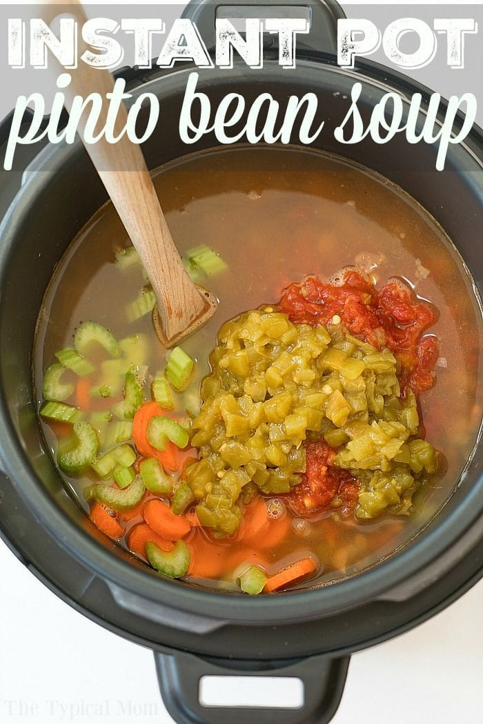 Instant Pot Bean Recipes
 Instant Pot Pinto Bean Soup · The Typical Mom