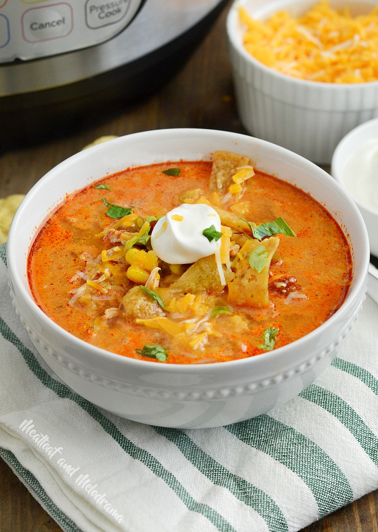 Instant Pot Chicken Enchiladas
 Instant Pot Chicken Enchilada Soup Meatloaf and Melodrama